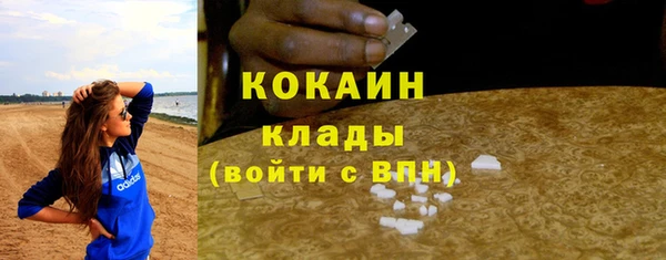 тгк Богородск
