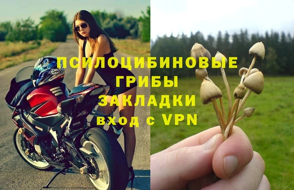 MESCALINE Богородицк