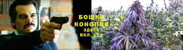 не бодяженный Богданович